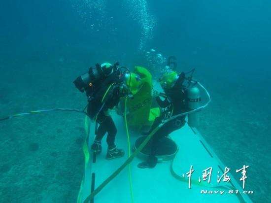 发现有趣冷知识的孩子学习成绩和性格养成哪个更重要?平台