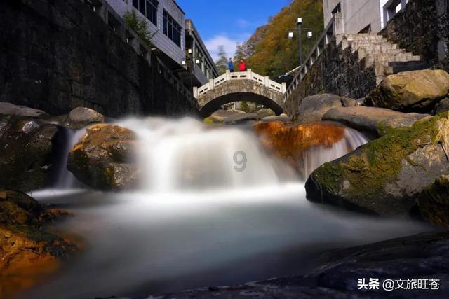 大眼蛙3